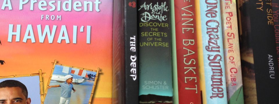 Read more about the article #WeNeedDiverseBooks Because We Are Not Alone