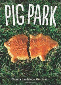 I'd love to see Claudia Guadalupe Martinez's Pig Park, from small press Cinco Puntos, in the vending machine.