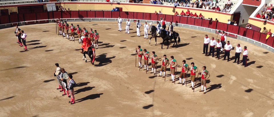 Read more about the article The Portuguese Bullfight