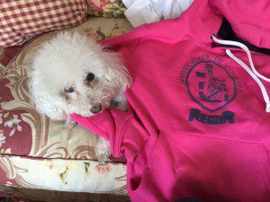 Sweatshirts come in the colors of the different departments, but I handed back the red one. The person selling them said pink represents early childhood education, and the cute pooch is clickbait.