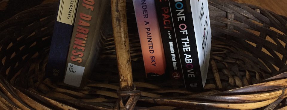 Read more about the article A Basket of Books to Address Our History