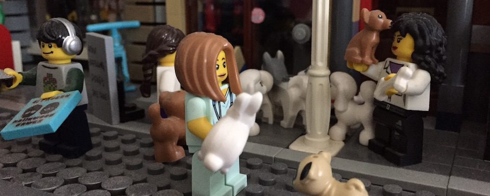 Read more about the article Working While Autistic: The Value of Volunteering