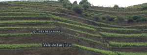 Read more about the article Finally a Douro River Trip