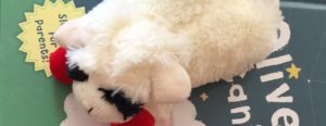 Read more about the article Olive the Sheep’s U.S. Tour!