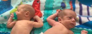 Read more about the article Who Do They Look Like?
