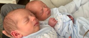 Read more about the article How Do You Tell Them Apart?