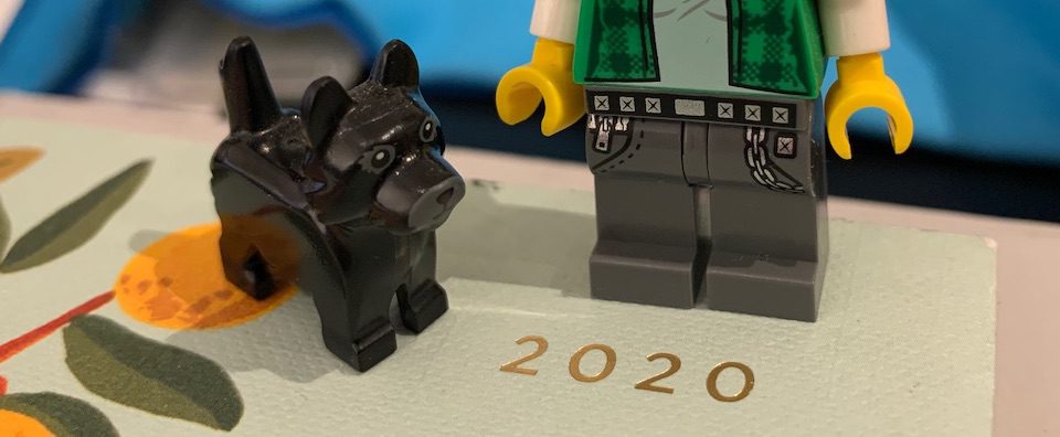 Read more about the article 2020 New Year’s Resolutions Check-in