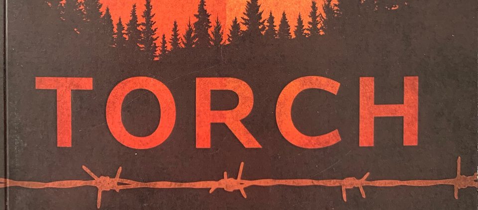 Read more about the article First Star for TORCH!