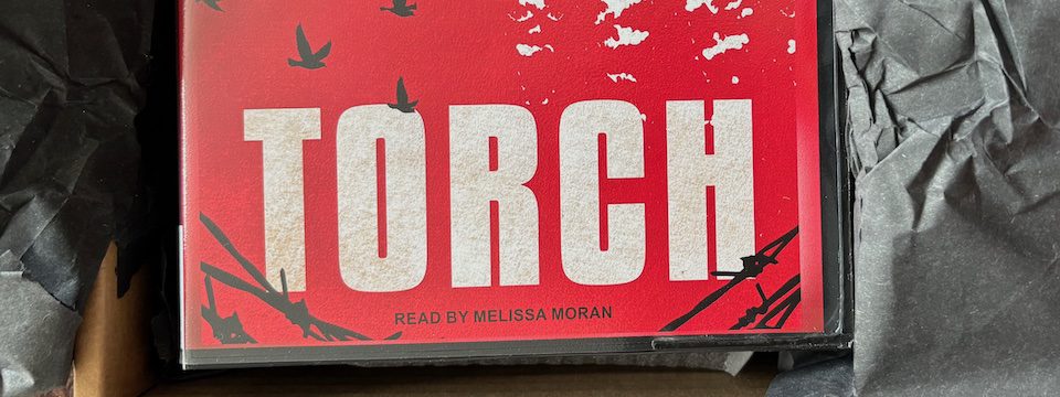 Read more about the article Audiobook News!