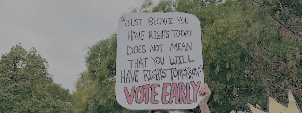 Read more about the article The Democracy Paradox